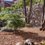 Arancia 杜布罗夫尼克