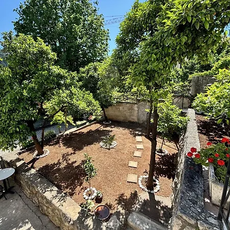 Arancia * 杜布罗夫尼克