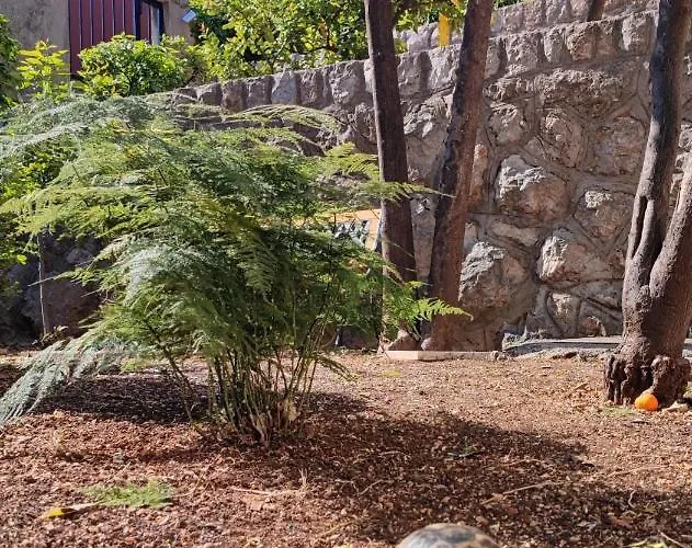 Arancia دوبروفينك