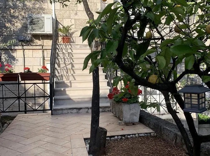 Arancia * دوبروفينك