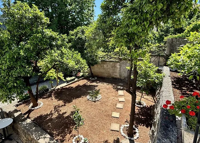 Arancia * 杜布罗夫尼克