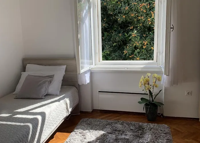 Arancia 杜布罗夫尼克