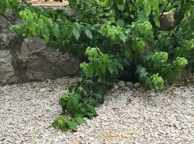 Arancia Ragusa